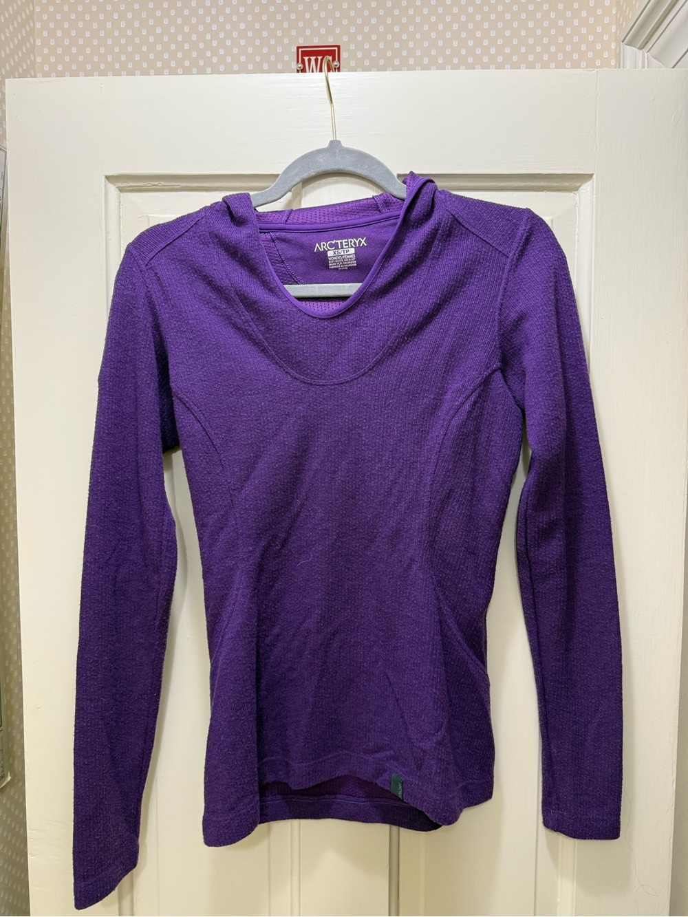 Arc'teryx Women's Purple Hooded Long-Sleeve Base Layer Top